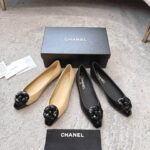Camellia Flats الكاميليا الكلاسيكي