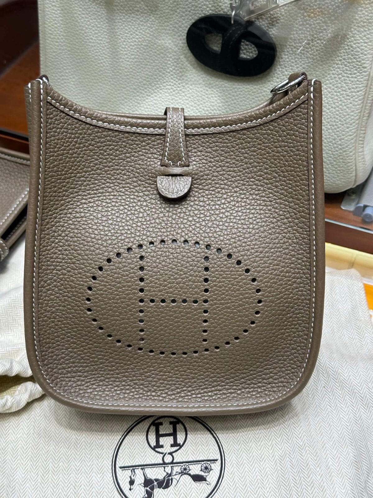 Mini Evelyne TPM (18cm /TPM)- حقيبة إيفلين ميني - Image 1