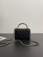 25S Vanity Bag (حقيبة فانيتي ٢٥ س) - Image 3