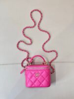 25S Vanity Bag (حقيبة فانيتي ٢٥ س) - Image 3