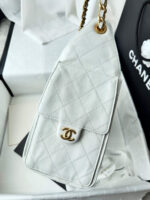 25 Mini Hobo Bag  (حقيبة هوبو ميني ٢٥) - Image 11