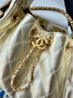 25 Mini Hobo Bag  (حقيبة هوبو ميني ٢٥) - Image 4