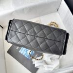 25 Mini  Hobo Bag  حقيبة سمول 25 هوبو - Image 6