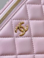 25S Vanity Bag (حقيبة فانيتي ٢٥ س) - Image 2