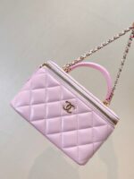 25S Vanity Bag (حقيبة فانيتي ٢٥ س) - Image 3