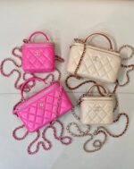 25S Vanity Bag (حقيبة فانيتي ٢٥ س)