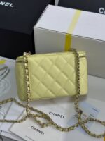 25S Vanity Bag (حقيبة فانيتي ٢٥ س) - Image 7