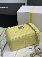 25S Vanity Bag (حقيبة فانيتي ٢٥ س) - Image 10