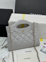 31 Nano Bag (حقيبة نانو ٣١)