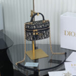 CD Mini Vanity Bag (حقيبة CD ميني فانيتي) - Image 11