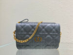 D Caro Pouch with Chain (حقيبة كلاتش دي كارو بسلسلة)