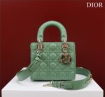 Small Lady Dior Bag (الصغيرة حقيبة ليدي ديور)