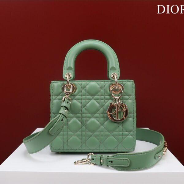 Small Lady Dior Bag (الصغيرة حقيبة ليدي ديور)