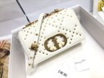 D Caro Small Star Studded Bag(حقيبة دي كارو الصغيرة المرصعة بالنجوم )
