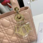 Mini Lady D Bag (حقيبة "ليدي دي" ميني) - Image 4