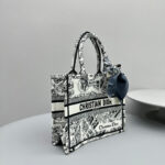 D Book Tote Bag (حقيبة ديور بوك توت) - Image 8