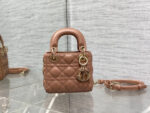 Lady D Micro Bag (حقيبة ليدي دي ميكرو)
