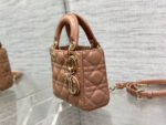 Lady D Micro Bag (حقيبة ليدي دي ميكرو) - Image 4