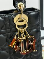 Lady D Compartment Bag (حقيبة ليدي ديور جلد الحمل) - Image 8