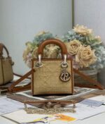 Lady D Mini Raffia (حقيبة ليدي دي ميني من الرافيا)
