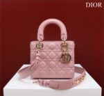 Small Lady D Bag(الصغيرة حقيبة ليدي ديور)