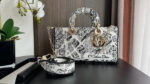 Lady D-Joy "Plan de Paris" Bag (حقيبة "ليدي دي-جوي" بنمط "خطة باريس)