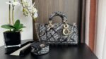 Lady D-Joy "Plan de Paris" Bag (حقيبة "ليدي دي-جوي" بنمط "خطة باريس)