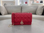 Miss Dior Handbag(حقيبة يد ميس ديور)