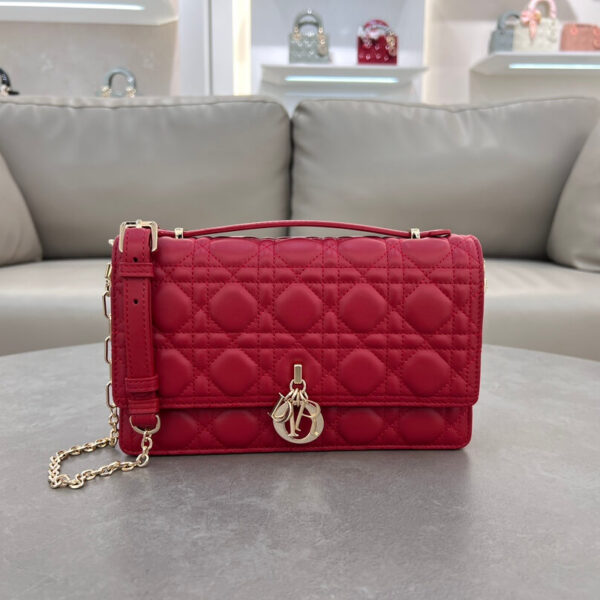 Miss Dior Handbag(حقيبة يد ميس ديور)