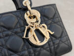 Lady D-Joy Handbag (حقيبة يد ليدي دي) - Image 6
