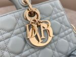 Lady D-Joy Handbag(حقيبة يد ليدي دي) - Image 4