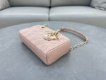Small Lady D-Joy Bag (حقيبة ليدي دي-جوي الصغيرة) - Image 6