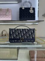 Cigale Chain Handbag(حقيبة يد سيجال بسلسلة)