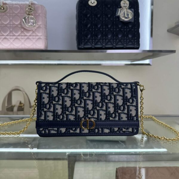 Cigale Chain Handbag(حقيبة يد سيجال بسلسلة)