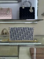 Cigale Chain Handbag(حقيبة يد سيجال بسلسلة) - Image 2