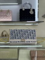 Cigale Chain Handbag(حقيبة يد سيجال بسلسلة)