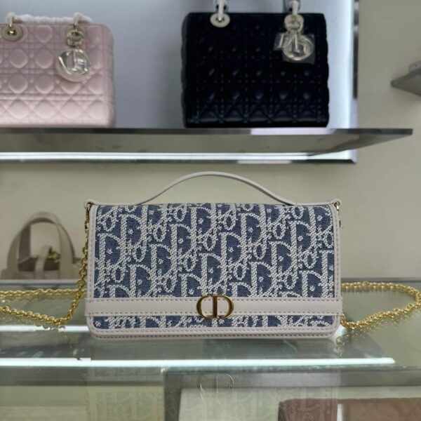 Cigale Chain Handbag(حقيبة يد سيجال بسلسلة)