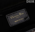 Small Lady D Bag(الصغيرة حقيبة ليدي دي) - Image 10