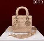 Small Lady D Bag(الصغيرة حقيبة ليدي دي)