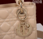 Small Lady D Bag(الصغيرة حقيبة ليدي دي) - Image 9