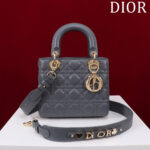 Small Lady D Bag(الصغيرة حقيبة ليدي دي)