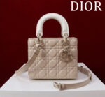 Lady D Compartment Bag (حقيبة ليدي دي مقصورات)