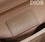 Lady D Compartment Bag (حقيبة ليدي دي مقصورات) - Image 4