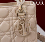 Lady D Compartment Bag (حقيبة ليدي دي مقصورات) - Image 6