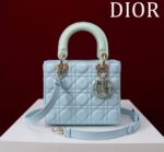 Lady Dior Compartment Bag (حقيبة ليدي ديور مقصورات)