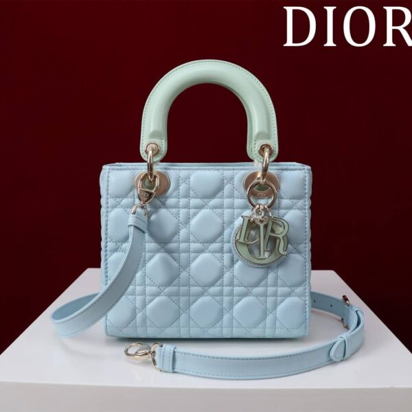 Lady Dior Compartment Bag (حقيبة ليدي ديور مقصورات)