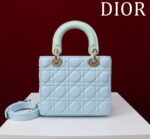 Lady Dior Compartment Bag (حقيبة ليدي ديور مقصورات) - Image 6