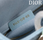 Lady Dior Compartment Bag (حقيبة ليدي ديور مقصورات) - Image 7