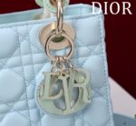 Lady Dior Compartment Bag (حقيبة ليدي ديور مقصورات) - Image 9