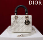 Lady Dior Compartment Bag (حقيبة ليدي ديور مقصورات)